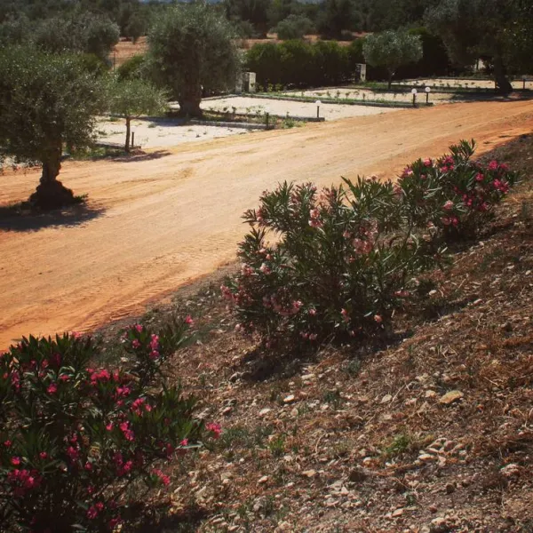 agri-camping-terra-del-sole-siracusa-m4kle