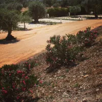 agri-camping-terra-del-sole-siracusa-m4kle
