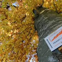 sonnencamping-albstadt-albstadt-h7tep