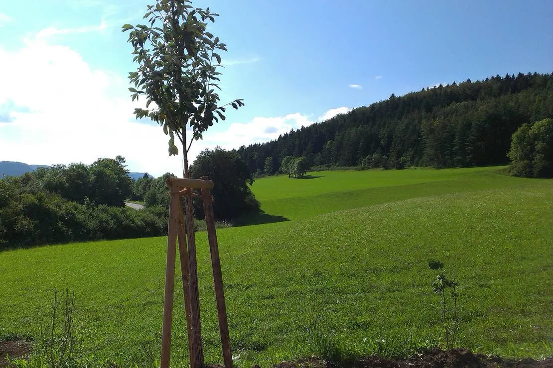 sonnencamping-albstadt-albstadt-rto8p
