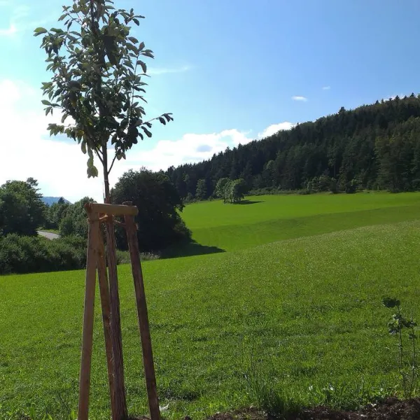 sonnencamping-albstadt-albstadt-rto8p
