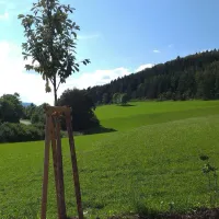 sonnencamping-albstadt-albstadt-rto8p