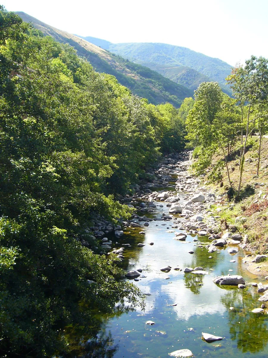 la-chataigneraie-mayres-ardeche-d2isc