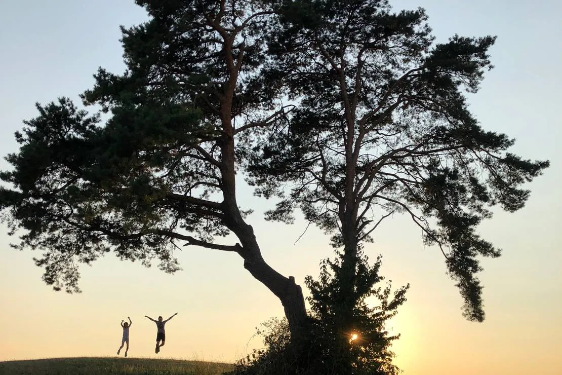 camping-und-ferienpark-orsingen-orsingen-nenzingen-2ejem