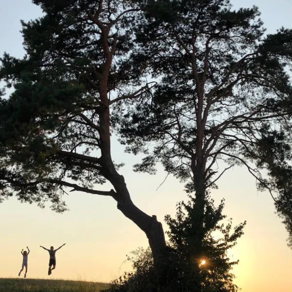 camping-und-ferienpark-orsingen-orsingen-nenzingen-2ejem