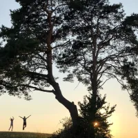 camping-und-ferienpark-orsingen-orsingen-nenzingen-2ejem