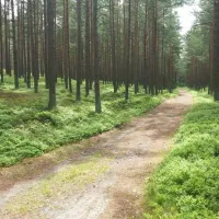 spares-prieduli-camping-site-nica-zyjfx