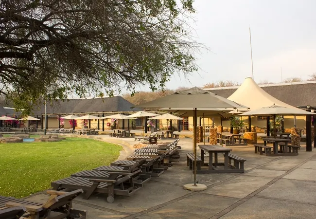 thabaledi-game-lodge-60km-from-brits-8ybfu
