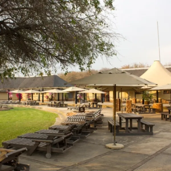thabaledi-game-lodge-60km-from-brits-8ybfu