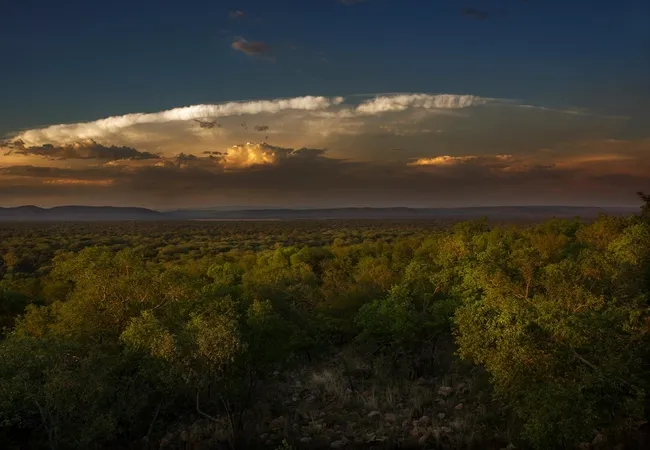 thabaledi-game-lodge-60km-from-brits-avxll