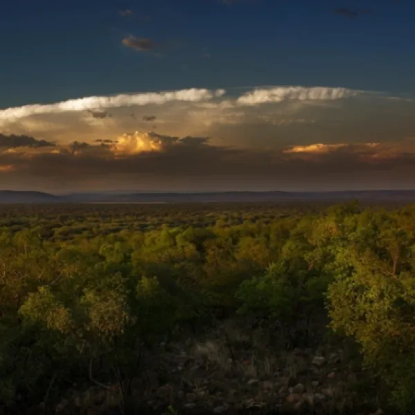 thabaledi-game-lodge-60km-from-brits-avxll