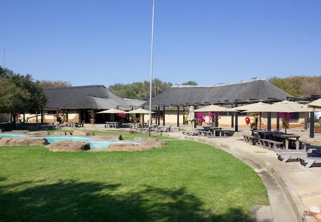 thabaledi-game-lodge-60km-from-brits-nxwuf