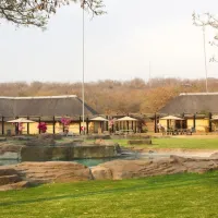thabaledi-game-lodge-60km-from-brits-o4iwf