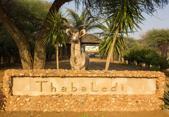 thabaledi-game-lodge-60km-from-brits-ufaxw