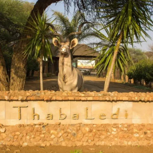 thabaledi-game-lodge-60km-from-brits-ufaxw