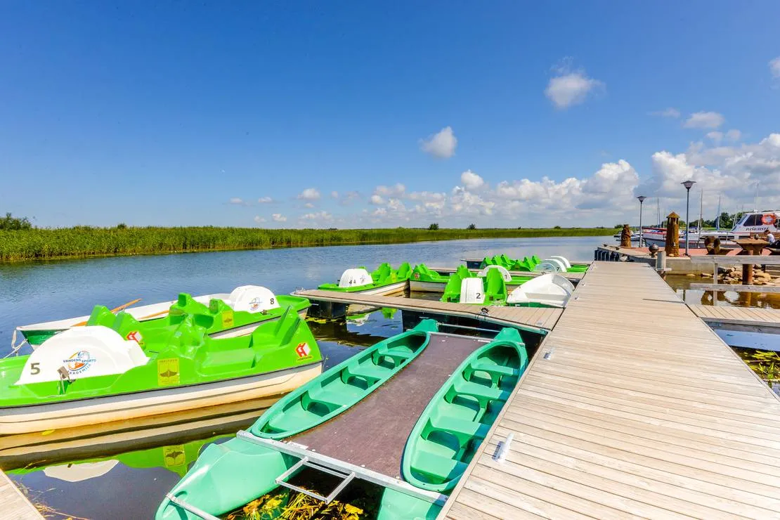 dreverna-camping-klaipeda-district-zo5q6