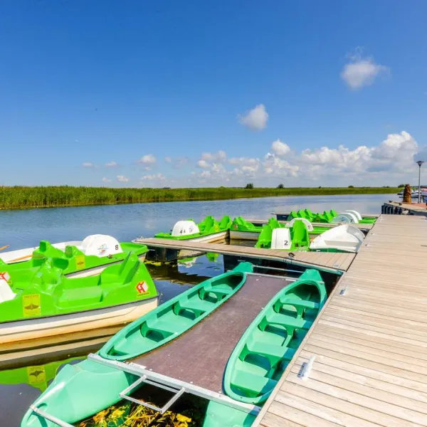 dreverna-camping-klaipeda-district-zo5q6