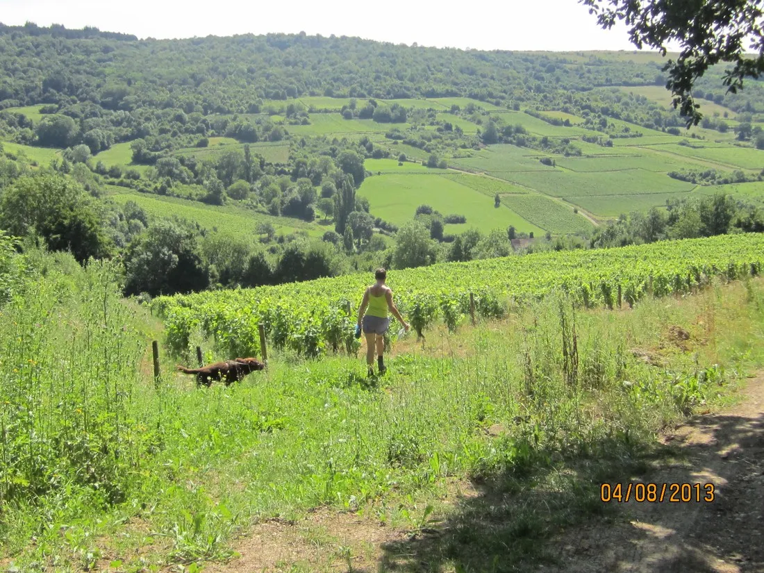 les-chaumes-du-mont-nolay-cote-d-or-ey4km