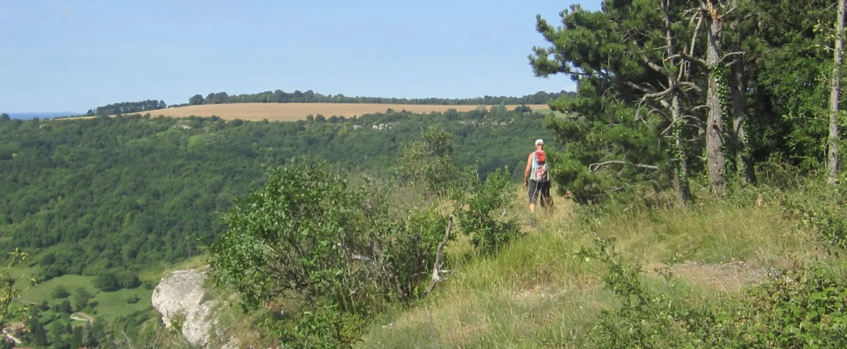 Les Chaumes du Mont