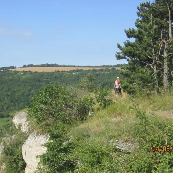 les-chaumes-du-mont-nolay-cote-d-or-owcnq