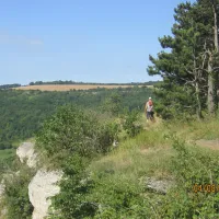 les-chaumes-du-mont-nolay-cote-d-or-owcnq