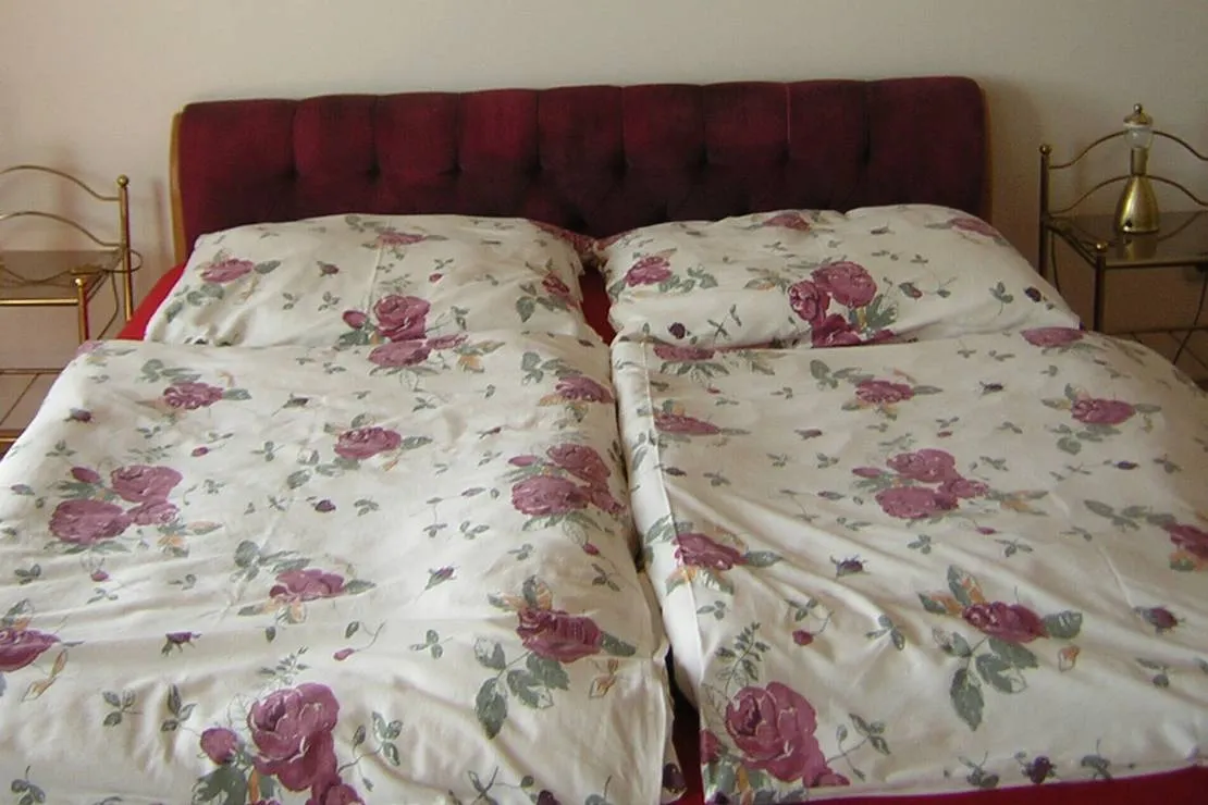 alsana-camping-ferienhaus-szakony-rkjzp