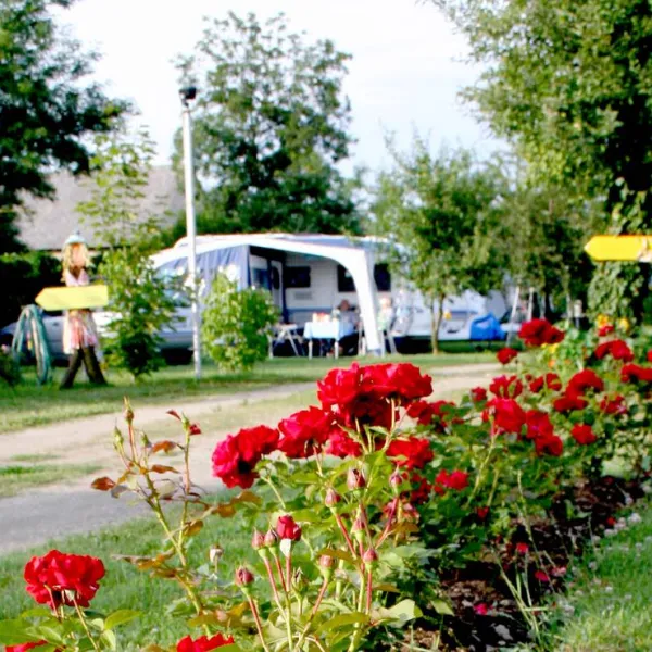 Alsana Camping - Ferienhaus