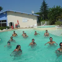 larbre-dor-parentis-en-born-landes-ajb5c