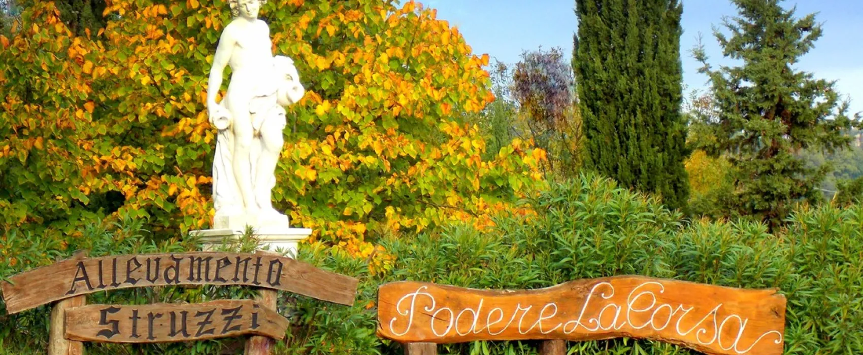 Podere La Corsa