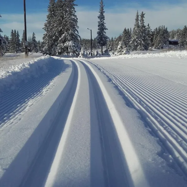 camp-sjusjoen-mesnali-muphu