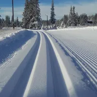 camp-sjusjoen-mesnali-muphu