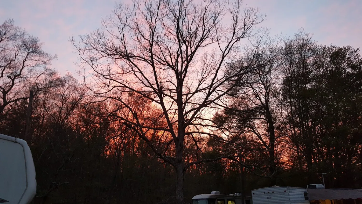 ginny-b-campground-foster-dnzg6