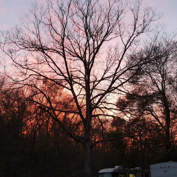 ginny-b-campground-foster-dnzg6