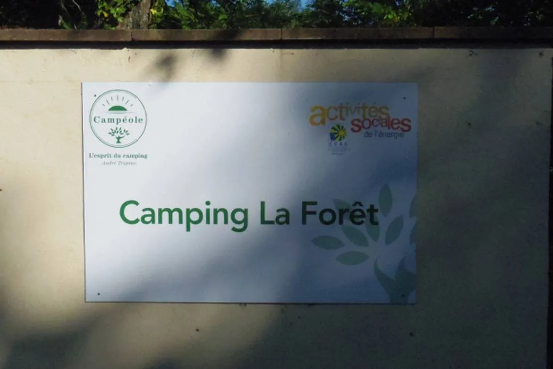 campeole-la-foret-boersch-yxtgl