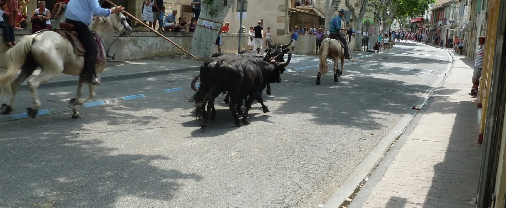 Municipal Les Romarins