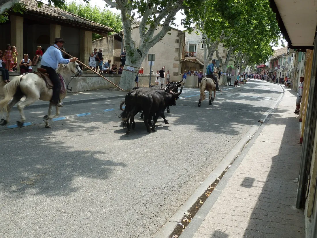 municipal-les-romarins-maussane-les-alpilles-ixhod