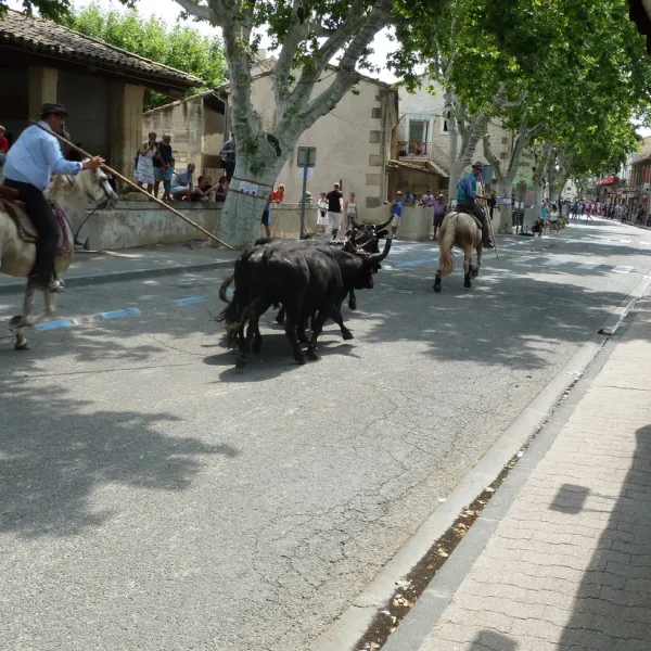 municipal-les-romarins-maussane-les-alpilles-ixhod