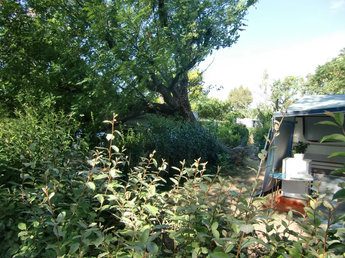 municipal-les-romarins-maussane-les-alpilles-wl8sj