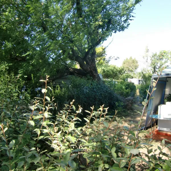 municipal-les-romarins-maussane-les-alpilles-wl8sj