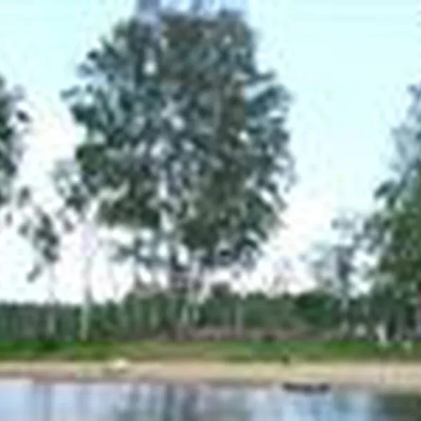 hindas-camping-hindas-kdcir