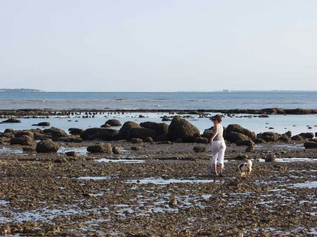 a-la-corniche-angoulins-charente-maritime-wgtci
