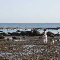 a-la-corniche-angoulins-charente-maritime-wgtci