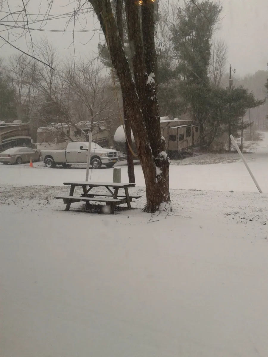 hillwood-camping-park-gainesville-lu4mn