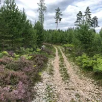 svennevads-camping-palsboda-0egz3