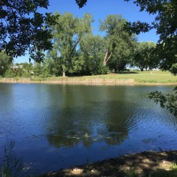 Robinson Park Campground
