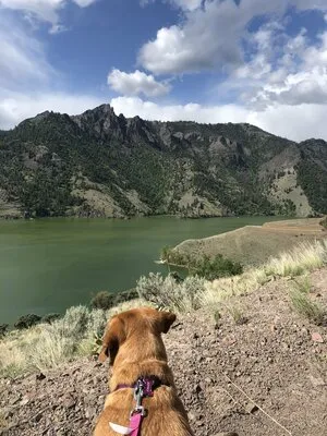 williams-lake-campground-salmon-grble