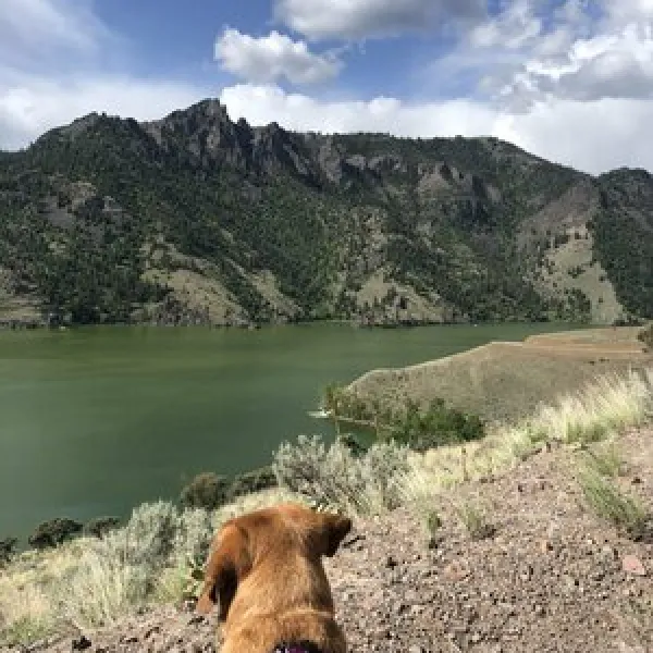 williams-lake-campground-salmon-grble