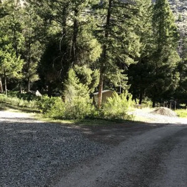 williams-lake-campground-salmon-kfqp7