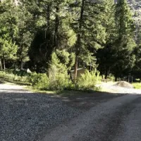 Williams Lake Campground