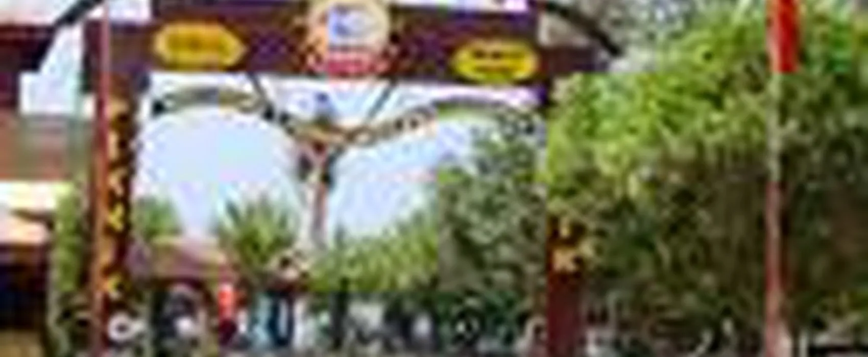 Sedre club